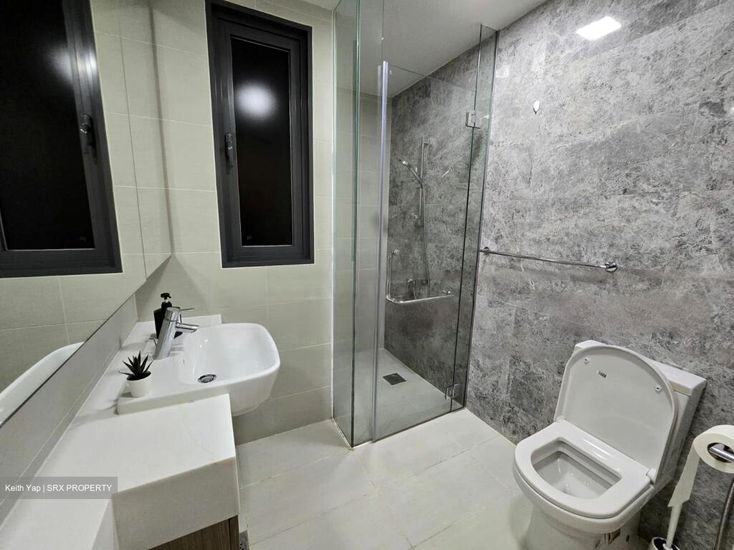 The Lakefront Residences (D22), Condominium #520040451